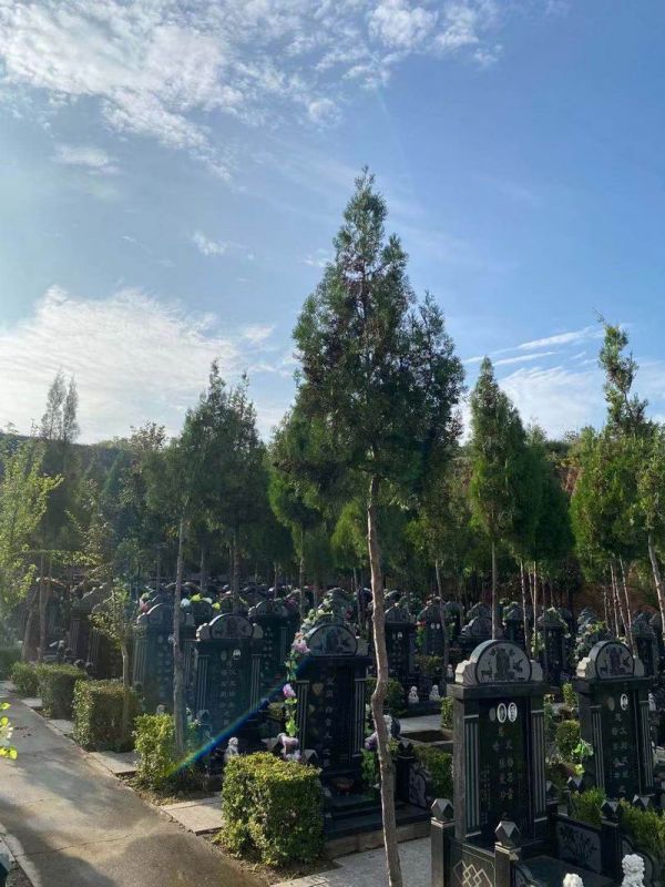 園區(qū)景觀(guān)